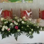 Servicios de Viveros Gallardos